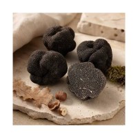 Tartufo Nero Pregiato (Tuber melanosporum) — чёрный зимний трюфель